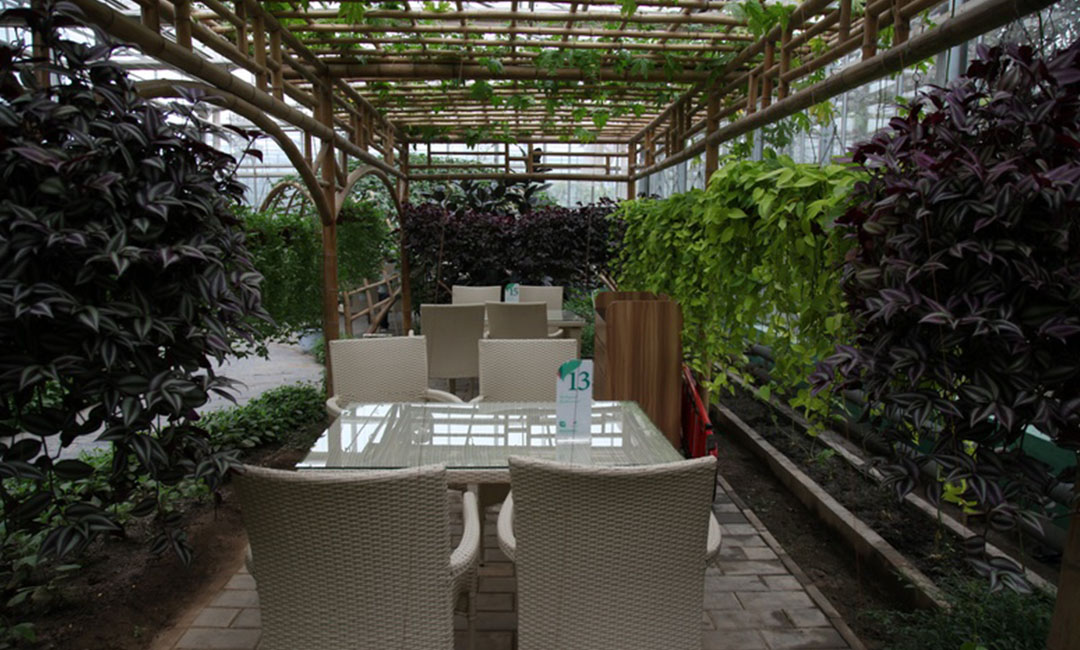 攀枝花康柏宇品牌文案撰写案例